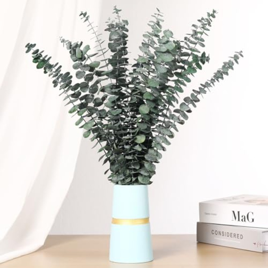 샤워용 건조 유칼립투스 줄기, 17인치 천연 생유칼립투 - Home Fragrance Eucalyptus 리뷰 및 가격