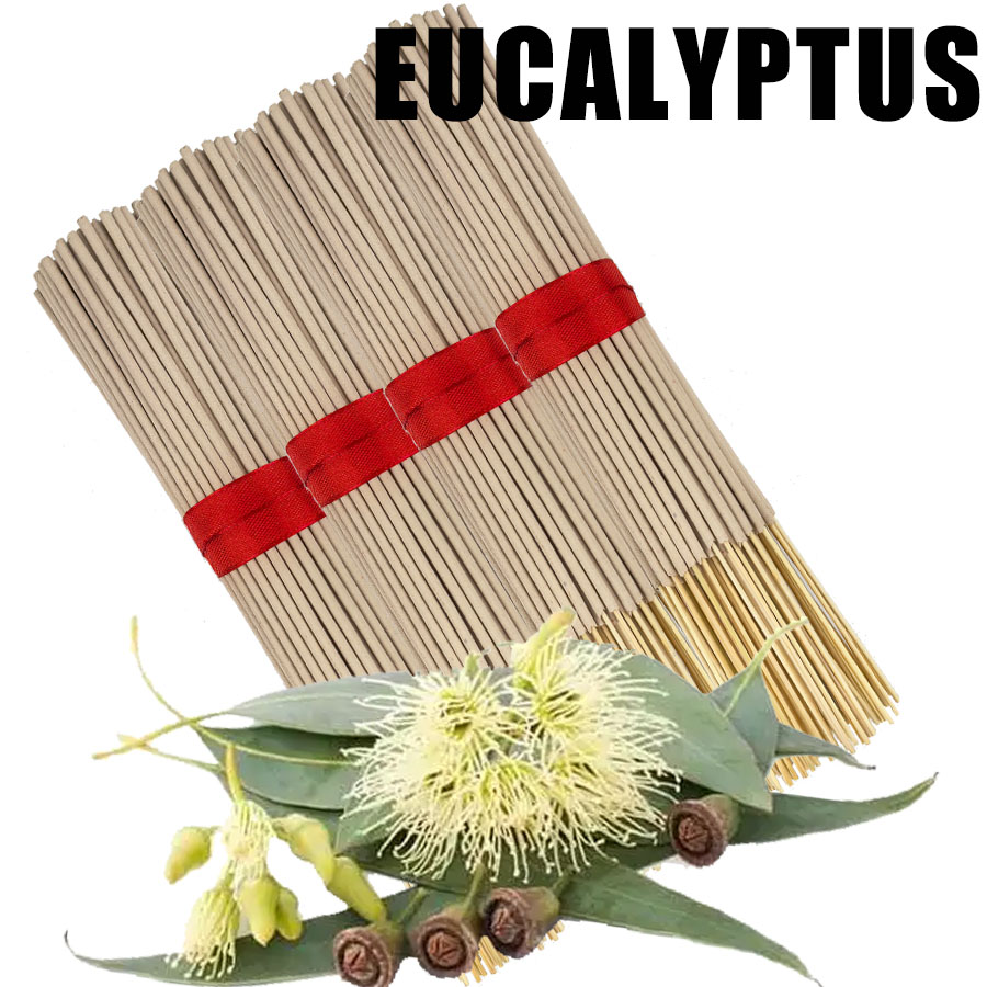 고품질 천연 대나무 유칼립투스 향 스틱 - 오래 지속되 - Home Fragrance Eucalyptus 리뷰 및 가격