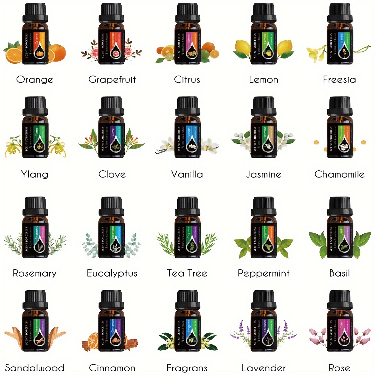 20개/세트 에센셜 오일 세트 라벤더 유칼립투스 스위트 - Home Fragrance Oil 리뷰 및 가격