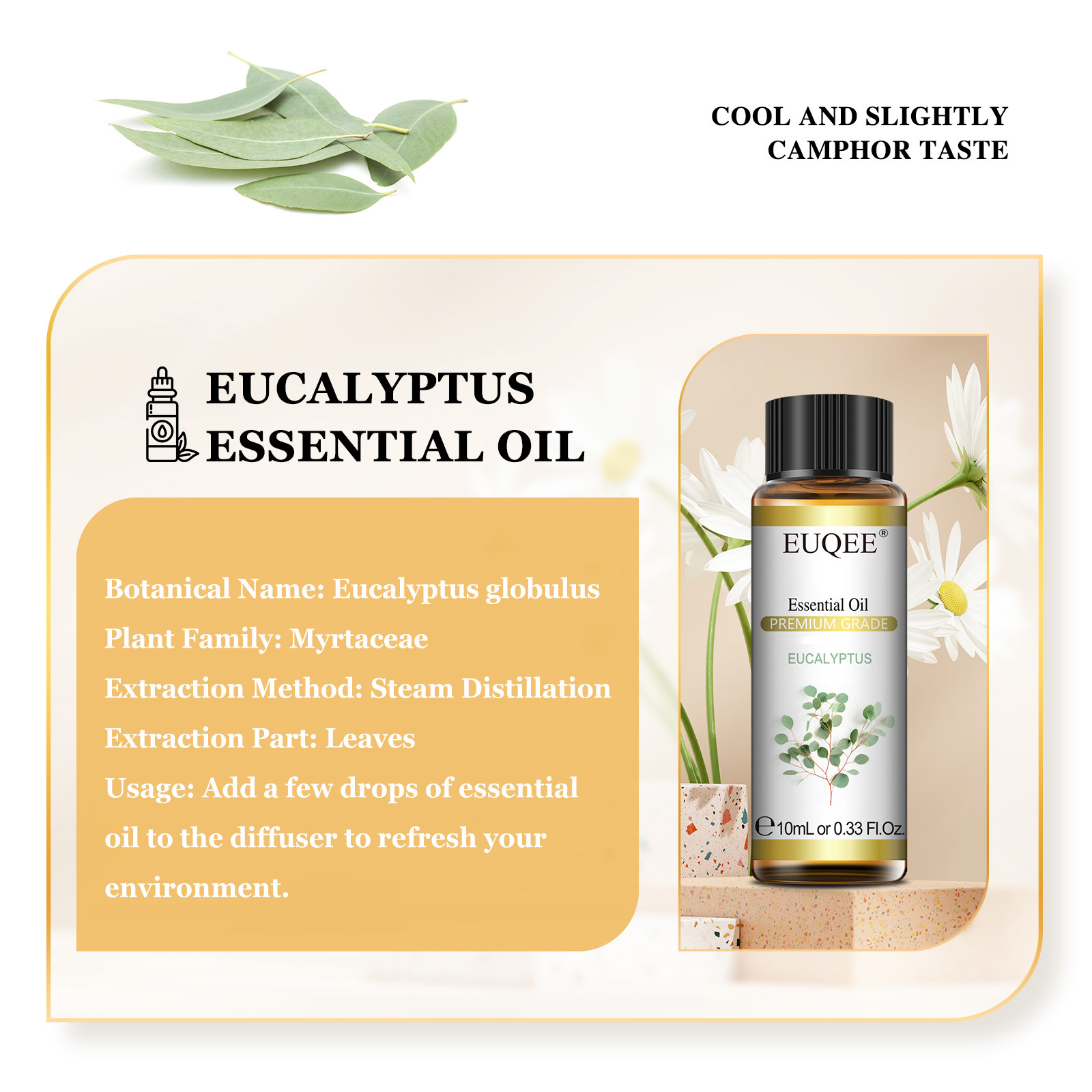 EUQEE 10ML 천연 에센셜 오일 유칼립투스 스피어 - Home Fragrance Eucalyptus 리뷰 및 가격